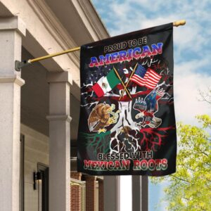American Mexican Friendship Flag: PN305Fv1 - Celebrate Unity