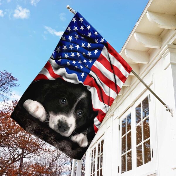 American Patriot Border Collie Flag - Image 3