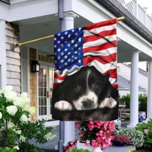 American Patriot Border Collie Flag