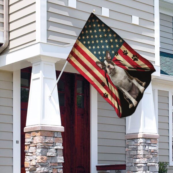 Boston Terrier American Flag THB2368F4 - Image 4