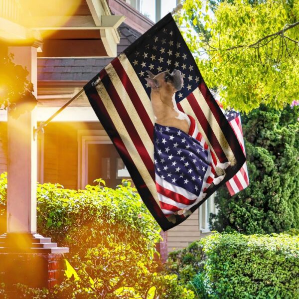 American Patriot Boxer Shorts: Stars & Stripes Underwear