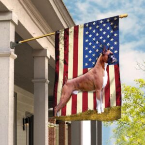 American Flag Boxer Shorts - THB2241F