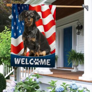 Dachshund 4th of July T-Shirt: Patriotic Weiner Dog Apparel