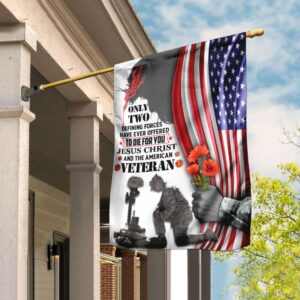 Jesus, American Veteran Flag: Faith & Patriotism
