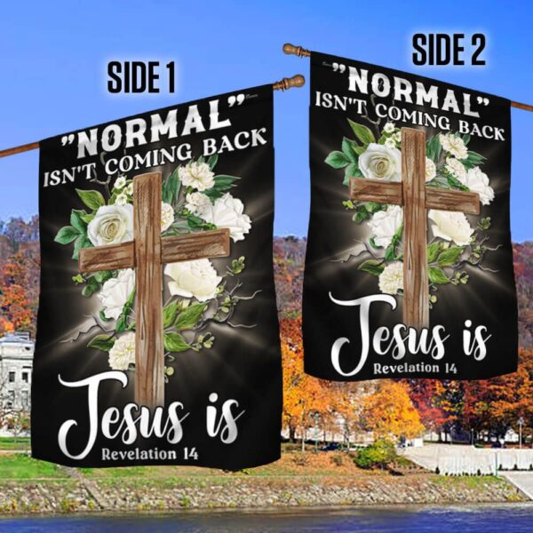 Jesus Flag: "Normal" Isn't Coming Back - TQN1133F - Image 3