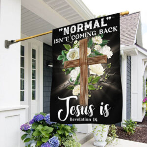 Jesus Flag: "Normal" Isn't Coming Back - TQN1133F