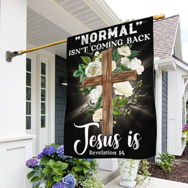 Jesus Flag: "Normal" Isn't Coming Back - TQN1133F