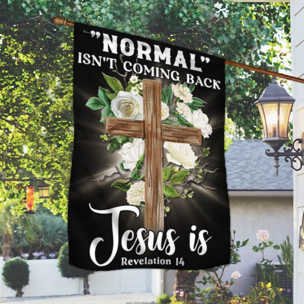 Jesus Flag: "Normal" Isn't Coming Back - TQN1133F - Image 2
