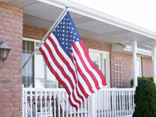 Pit Bull American U.S. Flag THN2101 - Image 3