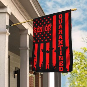 Senior 2020 Quarantine Graduation Flag: THB1971F4